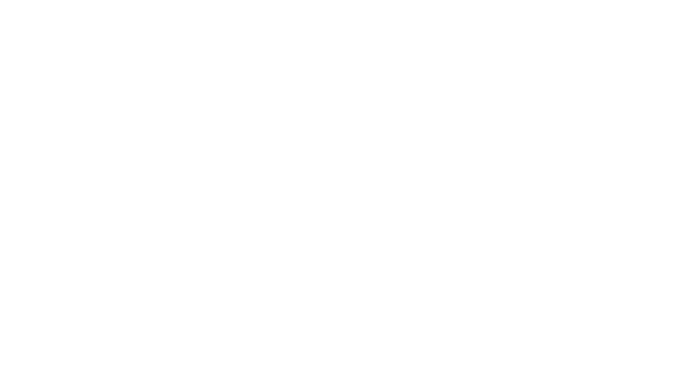 Partner 3