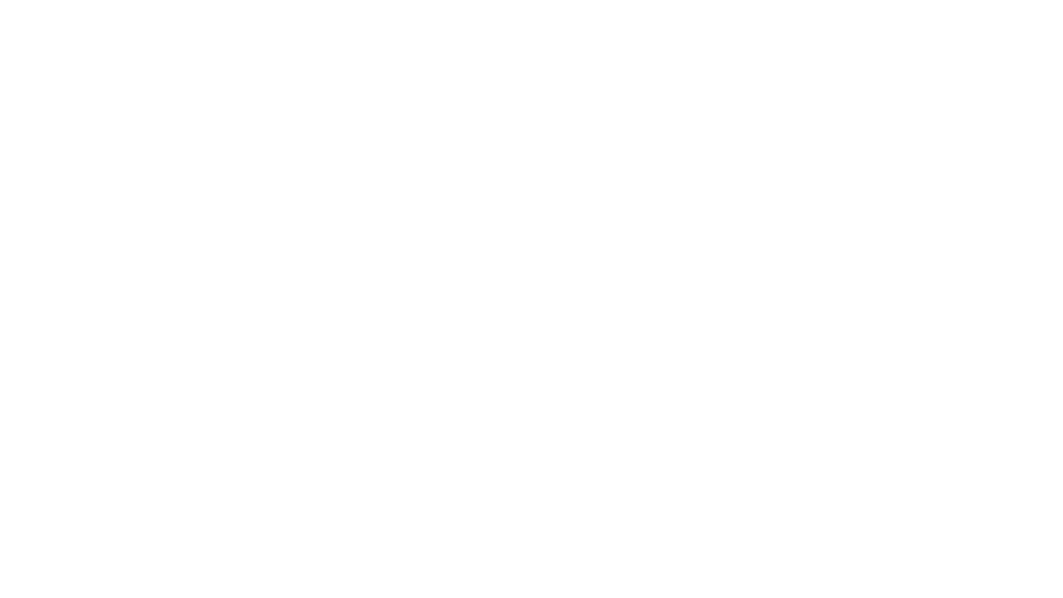 Partner 4